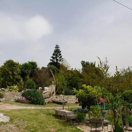 Il Giardino * 阿勃丝