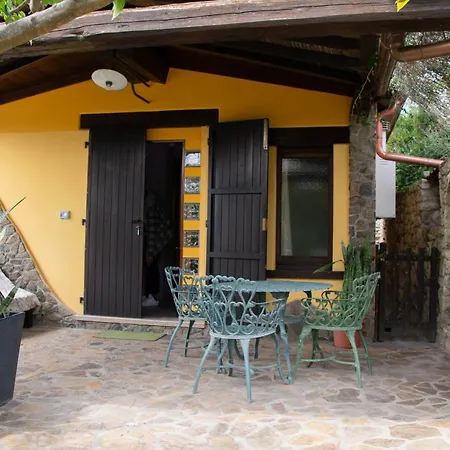 Il Giardino * Arbus